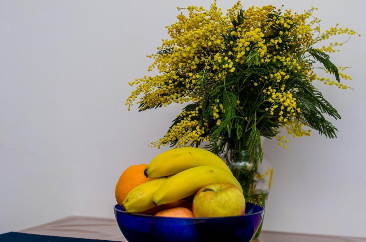 Apartment Old Town Budget Dubrovnik